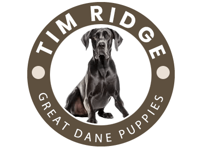 Tim Ridge Great Dane Puppies